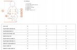 Body chłopięce Body Jeans - obrazek 9